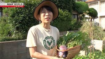 Compost Promoter - Taira Yuiko