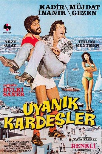 Uyanık Kardeşler film afişi