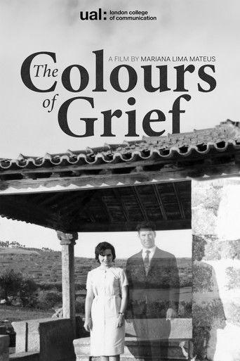 The Colours of Grief film afişi
