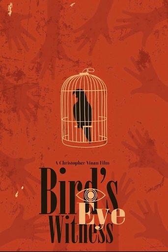 Bird's Eye Witness film afişi