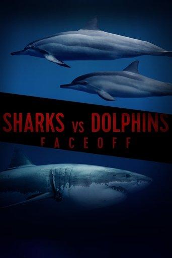 Sharks Vs. Dolphins: Face Off film afişi