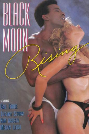 Black Moon Rising film afişi