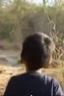 Arnav at Six film afişi