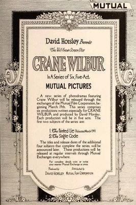 The Painted Lie film afişi