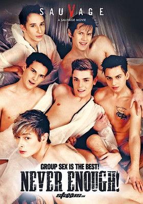 Never Enough film afişi