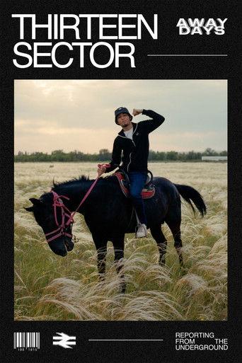 Thirteen Sector film afişi