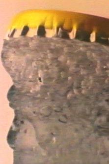 Schweppes Ad film afişi