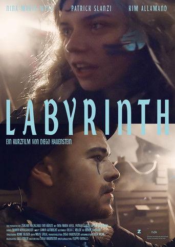 Labyrinth film afişi
