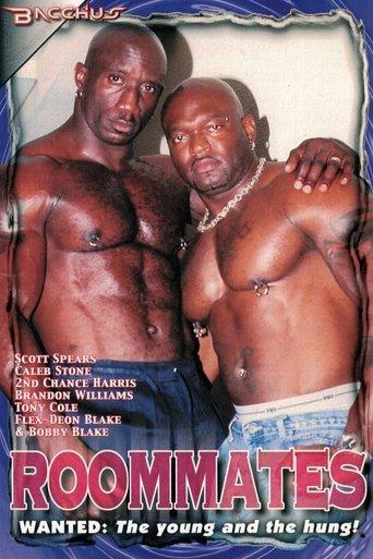 Roommates film afişi