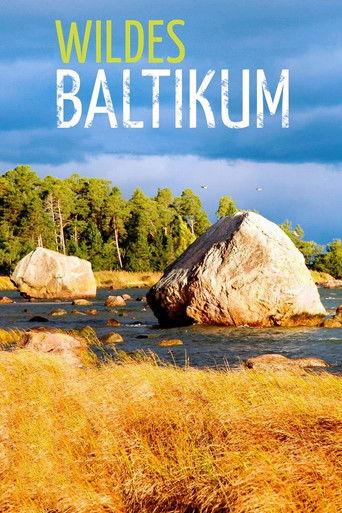 Wildes Baltikum dizi afişi