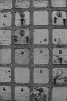 Ai Rotoli film afişi