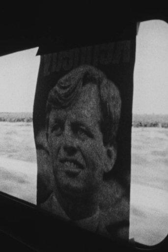 Campaign 1968 film afişi