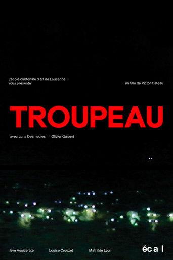 Troupeau film afişi