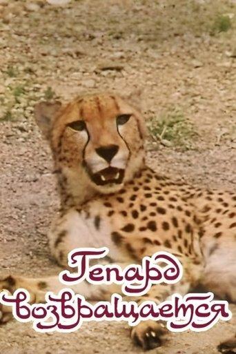 The Cheetah Comes Back film afişi