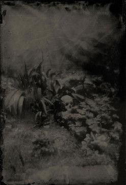 Boogie & Demons film afişi