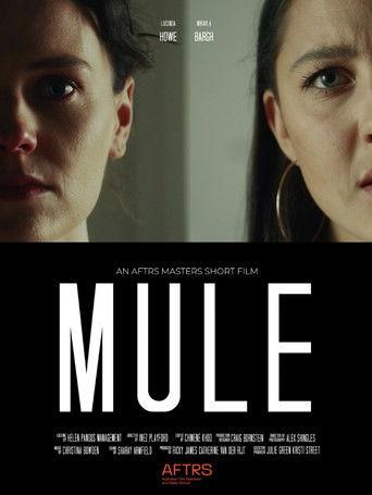 Mule film afişi