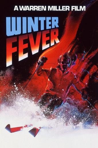 Winter Fever film afişi