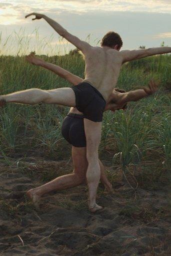 the promise film afişi