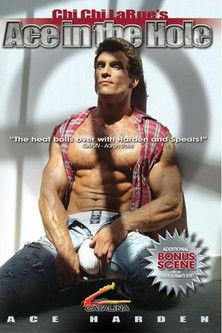 Ace in the Hole film afişi