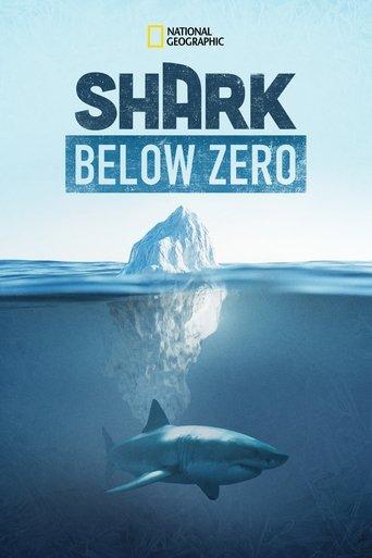 Shark Below Zero film afişi