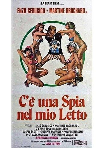 C'è una spia nel mio letto film afişi