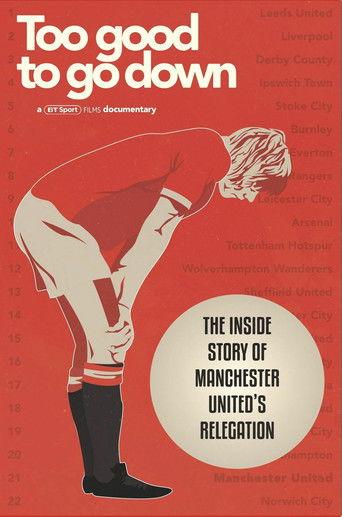 Too Good To Go Down film afişi