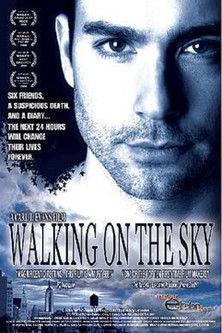 Walking on the Sky film afişi