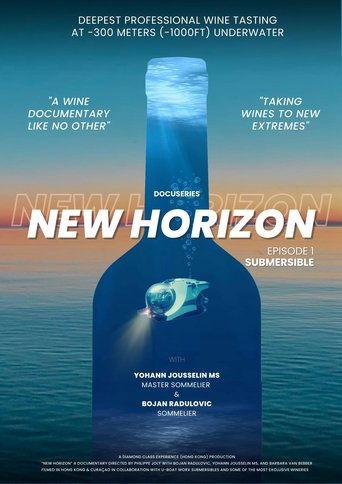 New Horizon film afişi