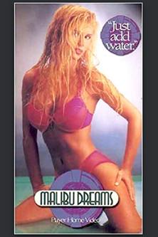 Malibu Dreams film afişi