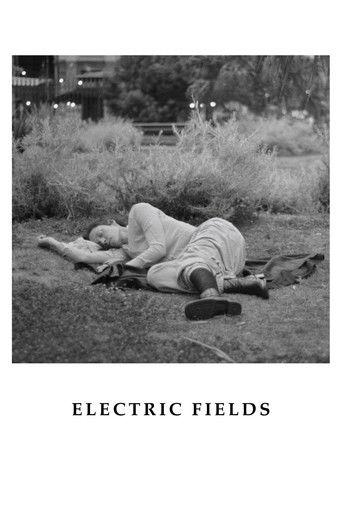 Electric Fields film afişi