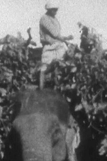 Indian Elephants in the Service of Man film afişi