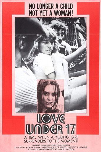 Love Under 17 film afişi