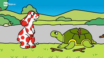 La tartaruga a rotelle