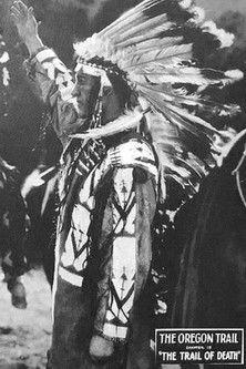 The Oregon Trail film afişi