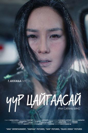 In the Dawn film afişi