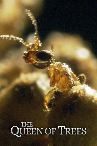 The Queen of Trees film afişi
