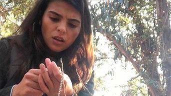 Return to the Woods + A Weird Email