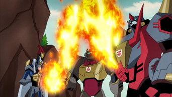 Survival of the Fittest