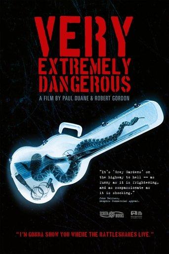Very Extremely Dangerous film afişi
