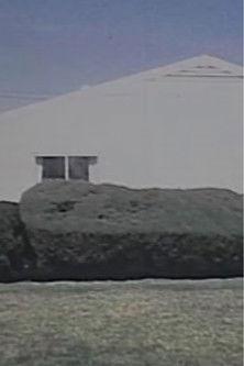 Homogeneity film afişi