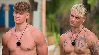 From Kittens to Lions