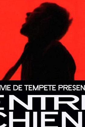 Between Dogs and Wolves film afişi