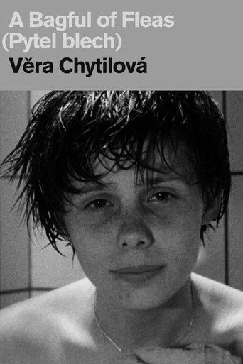 A Bagful of Fleas film afişi