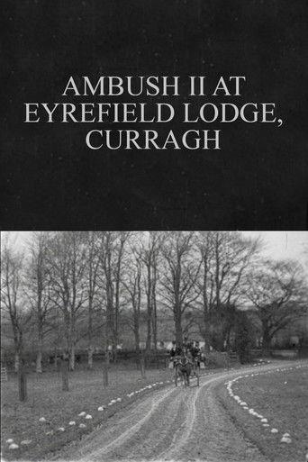 Ambush II at Eyrefield Lodge, Curragh film afişi