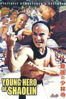 The Young Hero of Shaolin film afişi