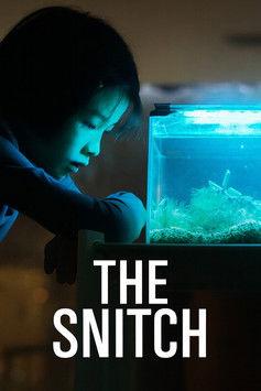 The Snitch film afişi