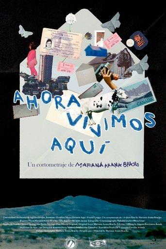 Found letters film afişi