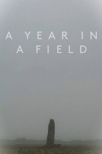 A Year in a Field film afişi