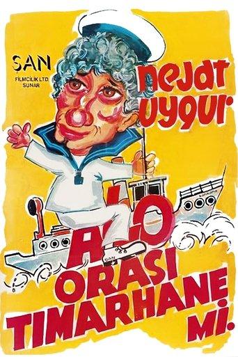 Alo Orası Tımarhane mi film afişi