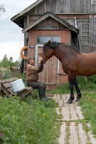 The Robinsons of Mantsinsaari film afişi